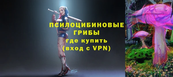 а пвп мука Надым
