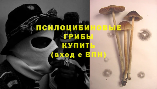 а пвп мука Надым