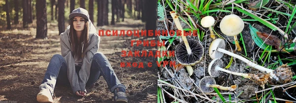 jwh Нефтегорск