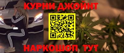 сатива Можга