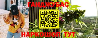 сатива Можга