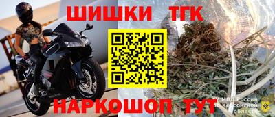 сатива Можга