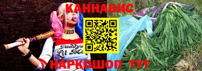 сатива Можга