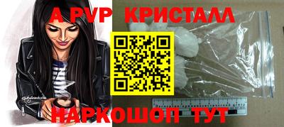 СК Моздок