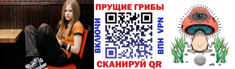 Галлюциногенные грибы мухоморы  Оренбург 