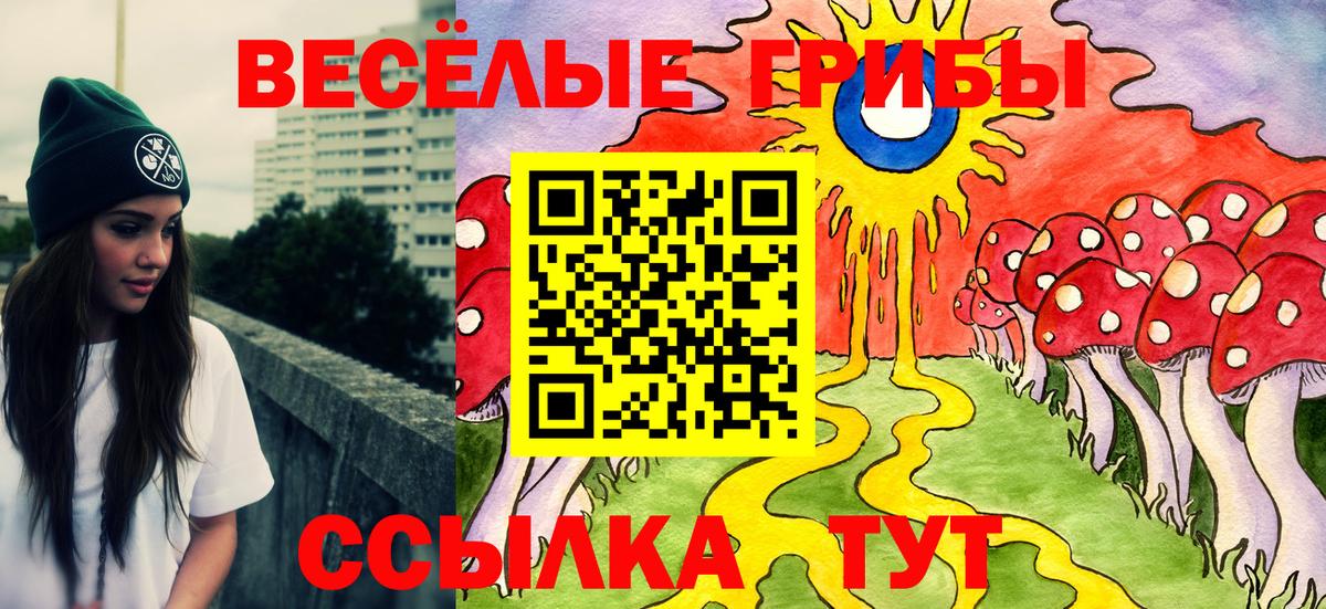 Оренбург  Псилоцибиновые грибы Cubensis  Вход с VPN 